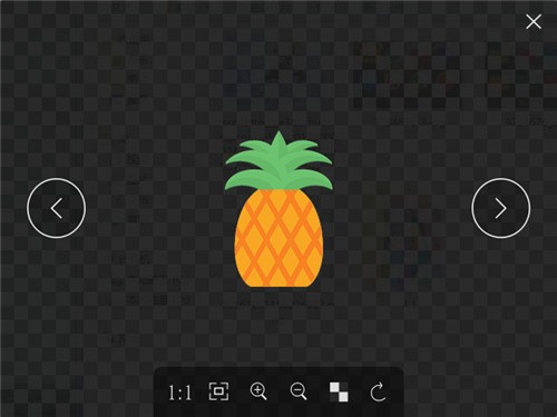 Pineapple Picture°