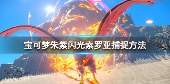 宝可梦朱紫闪光索罗亚捕捉方法 闪光索罗亚在哪抓