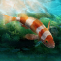 ˮʦϷ