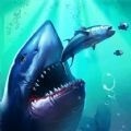 鲨鱼进化模拟器游戏下载