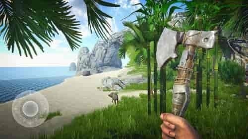 最后的海盗岛屿生存游戏下载