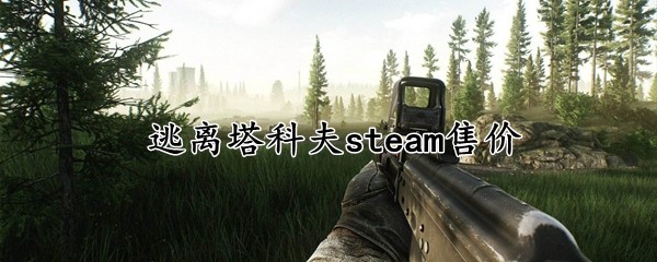 逃离塔科夫steam售价多少 逃离塔科夫steam售价2023最新分享