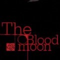 thebloodmoon雷安游戏手机版