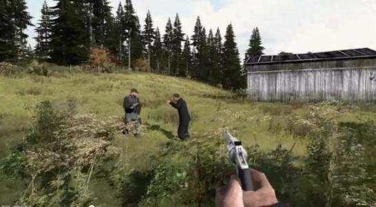 dayzֻ