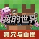 ҵ粻ʵ֤