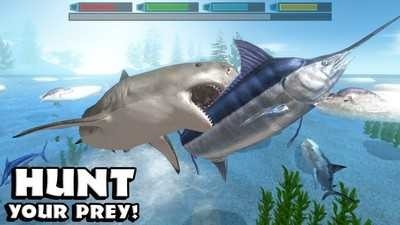 ģֻ1