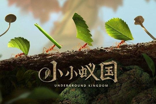 小小蚁国全新隐藏礼包码 小小蚁国兑换码大全