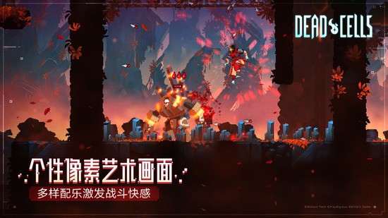 ϸ蹺