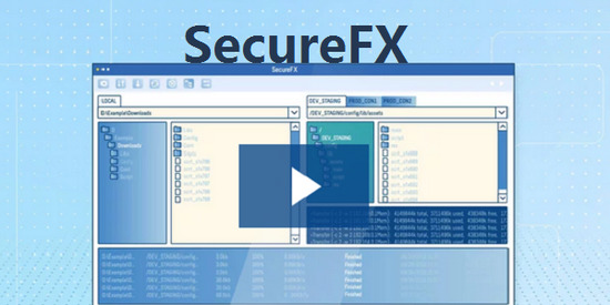 securefx