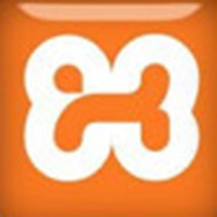 xampp°  v8.2.0