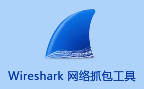 wireshark԰