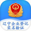 辽宁企业登记实名验证app下载