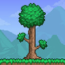 ̩°