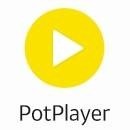 potplayer便携版