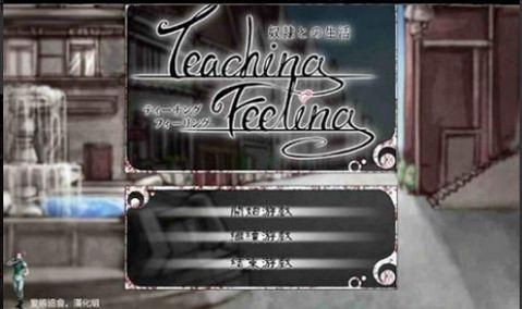 teachfeelingİ