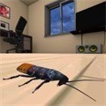 蟑螂模拟器中文版下载