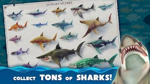 hungrysharkworldʷ3