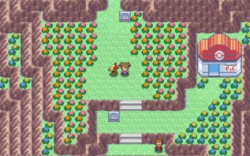 pokemmoֻ (2)