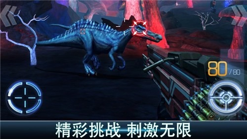 ٪޼޽ʯ