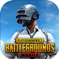 pubgʷذװ  v3.1