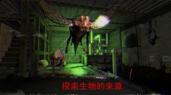 \