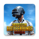 pubgʷ  v3.3.0