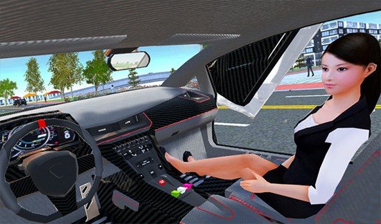 carsimulator2°