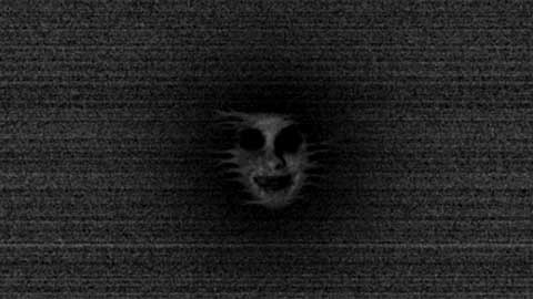 ֲɭ