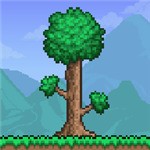 泰拉瑞亚灾厄汉化版下载 v1.4.0.5.1