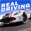 真实公路汽车2游戏下载安装 v1.0