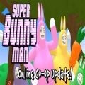 疯狂的兔子steam游戏下载 v1.6