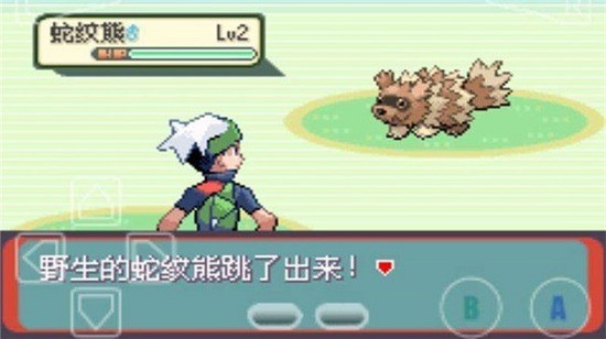 ڴ̱ʯ氲׿