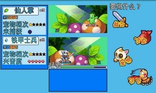 宠物王国5内购破解版下载-宠物王国5彩虹内购免费版下载v1.0