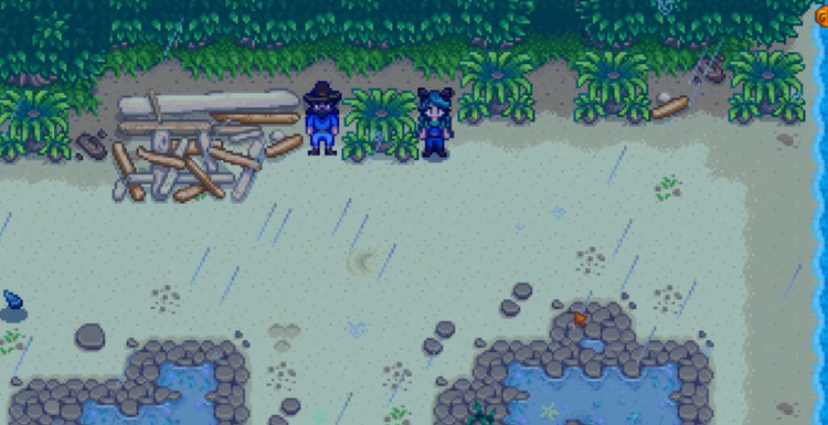 星露谷物语老水手在哪里出现