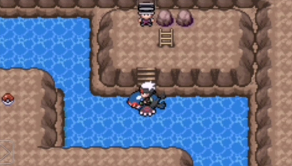 口袋妖怪火红抓什么宠物好