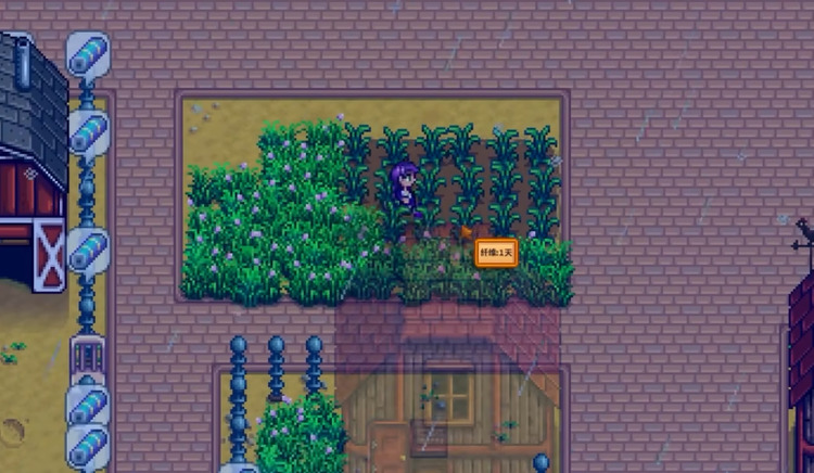 星露谷物语纤维种子怎么做