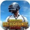 PUBG Mobile2025ٷ